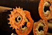 gear photo